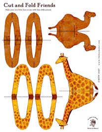 camel giraffe